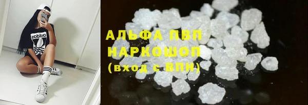 трава Аркадак