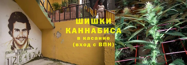 трава Аркадак