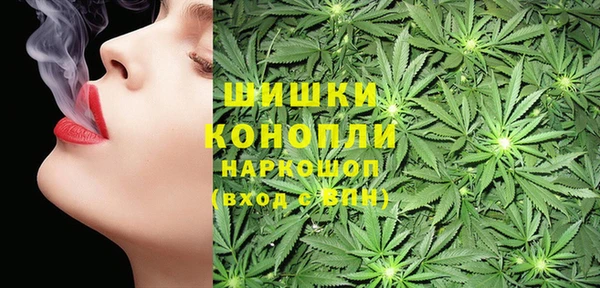 трава Аркадак