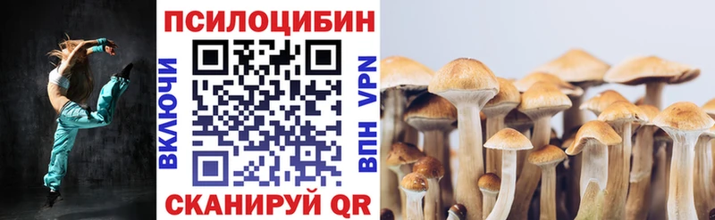 Галлюциногенные грибы мухоморы  ссылка на мегу маркетплейс  Полысаево 